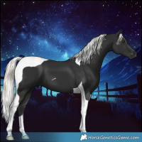 Horse Color:Liver Chestnut Mushroom Tobiano 