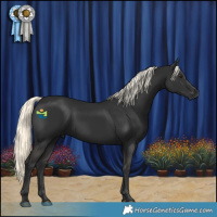 Horse Color:Liver Chestnut Mushroom 