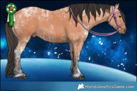 Horse Color:Bay Ice 