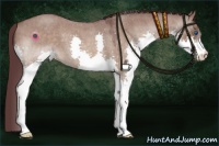 Horse Color:Chocolate Brown Roan Dun Splash 