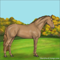 Horse Color:Chestnut Frame 