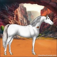 Horse Color:Silver Bay Splash Tobiano 