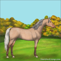 Horse Color:Silver Bay Roan Dun 