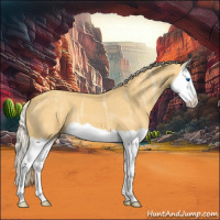 Horse Color:Palomino Ice Splash 
