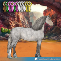 Horse Color:Silver Smoky Blue Ice Roan 