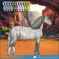 Horse Color:Silver Smoky Blue Ice Roan 