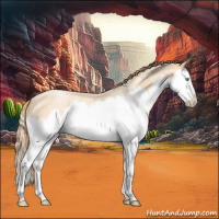 Horse Color:Buckskin Roan Pearl Splash 