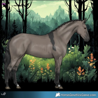 Horse Color:Grullo 