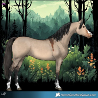 Horse Color:Bay Dun 
