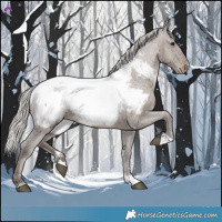 Horse Color:Silver Black Near Fewspot 