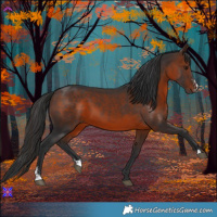 Horse Color:Brown Sabino 
