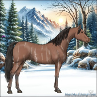 Horse Color:Bay Ice 