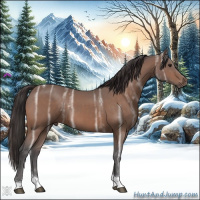 Horse Color:Buckskin Ice Tobiano 