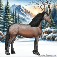 Horse Color:Bay Ice Roan 