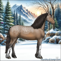 Horse Color:Buckskin Ice 