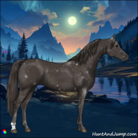 Horse Color:Smoky Black 