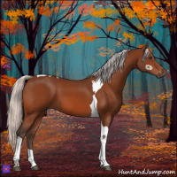 Horse Color:Silver Brown Tobiano 