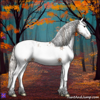 Horse Color:White Spotted Silver Bay Blanket Rabicano 