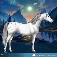 Horse Color:Black Appaloosa Rabicano 