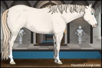 Horse Color:Perlino Dun Sabino 