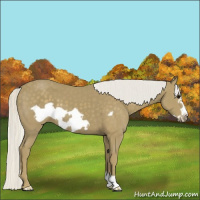 Horse Color:Silver Smoky Black Frame 