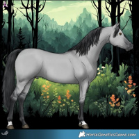 Horse Color:Grullo Chinchilla 