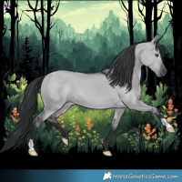 Horse Color:Grullo Chinchilla 