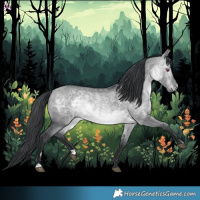 Horse Color:Brown Chinchilla Dun Rabicano 