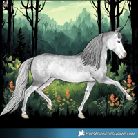 Horse Color:Silver Bay Chinchilla Dun Splash 