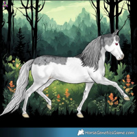Horse Color:Silver Grullo Chinchilla Splash Brindle 
