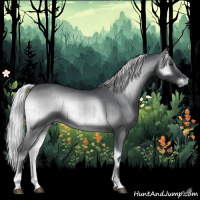 Horse Color:Silver Blue Onyx Chinchilla Brindle 