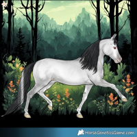 Horse Color:Classic Champagne Chinchilla Onyx 