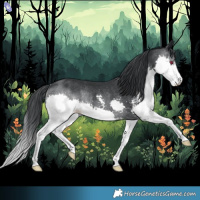 Horse Color:Black Chinchilla Sabino Splash Rabicano 