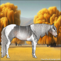 Horse Color:Gray Silver Smoky Black Ice Tobiano Rabicano 