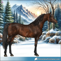 Horse Color:Bay Ice 