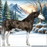 Horse Color:Classic Champagne Ice Splash