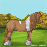 Horse Color:Chestnut Tobiano 