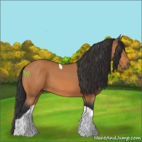 Horse Color:Bay Tobiano 