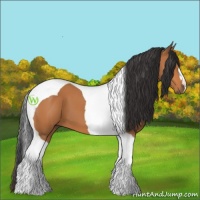 Horse Color:Bay Tobiano 