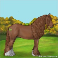 Horse Color:Chestnut Tobiano 