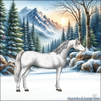 Horse Color:Silver Bay Ice Sabino