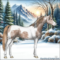 Horse Color:Chestnut Ice Sabino Tobiano