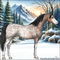 Horse Color:Bay Ice Roan Sabino 
