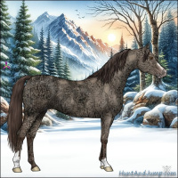 Horse Color:Classic Champagne Ice Dun Sabino 