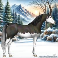 Horse Color:Midnight Bay Ice Dun Sabino Splash