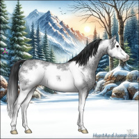 Horse Color:Black Ice Sabino Splash Frame 