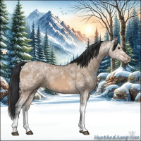 Horse Color:Bay Ice Dun 