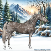 Horse Color:Silver Black Ice 