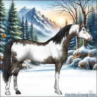 Horse Color:Bay Ice Dun Frame 