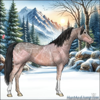 Horse Color:Bay Ice 
